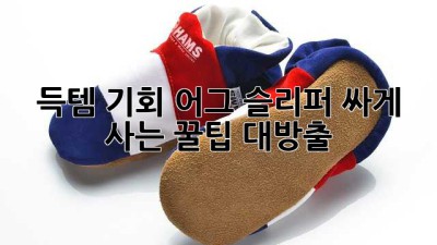 🐑 득템 기회! 어그 슬리퍼 싸게 사는 꿀팁 대방출 🩴✨