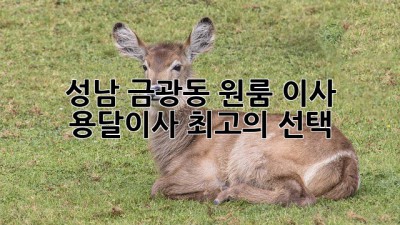 성남 금광동 원룸 이사? 용달이사 최고의 선택!